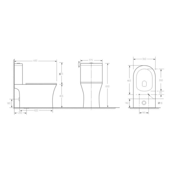 GALA - Image 2