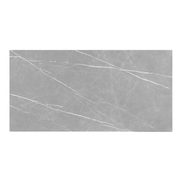 PALPIS GREY